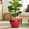 thumbnail image 6 of Ordivic 8 inch Glossy Red Ceramic Flower Pot with Drainage Hole & Saucer | Modern Round Planter for Indoor Plants & Christmas Decor, 6 of 7