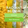thumbnail image 2 of Ambientador Glade Radiant Bloom 2 recargas de 20 ml, 2 of 7