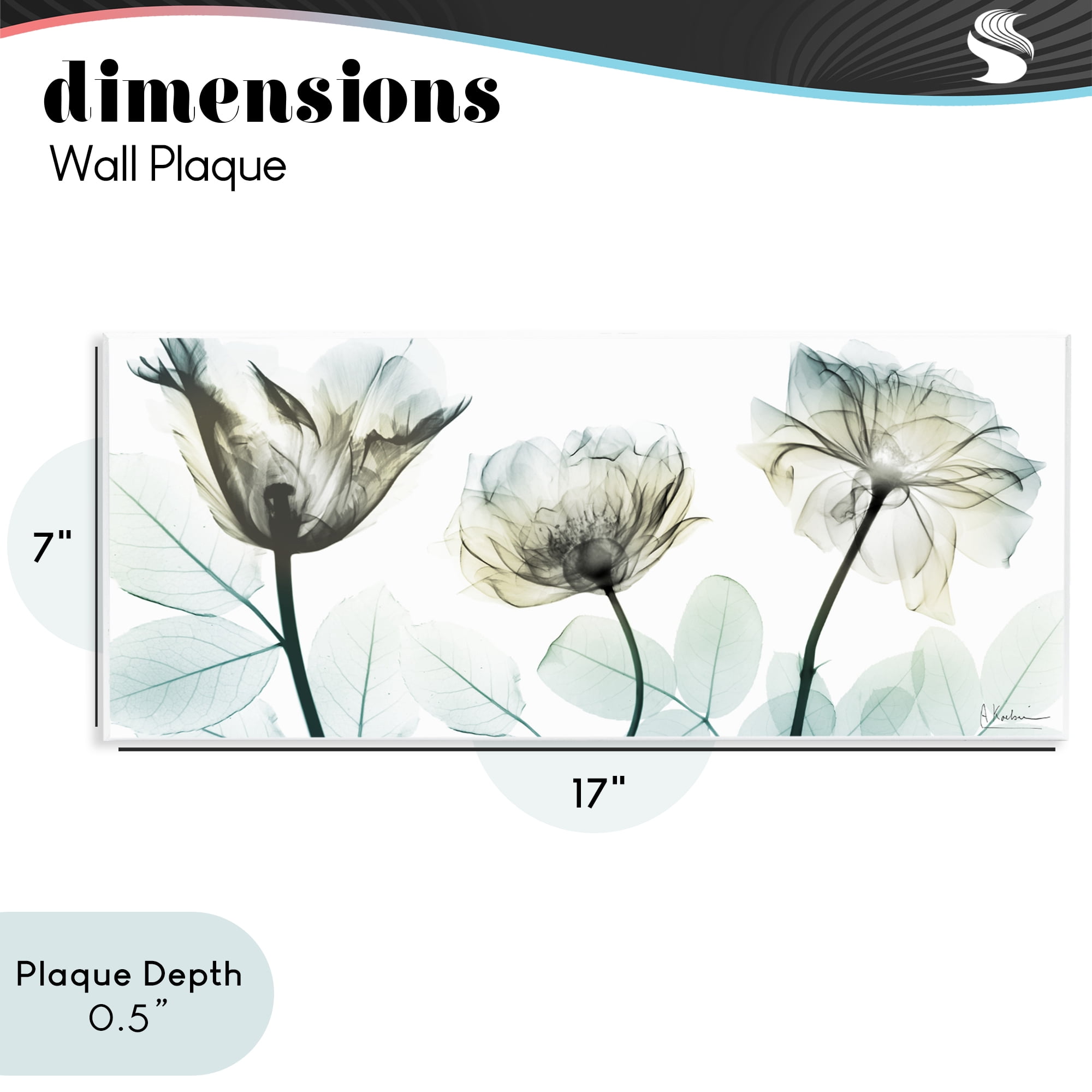 Stupell Industries Jewel of Passion Flowers Wall Plaque Art, design by Albert Koetsier