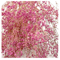 thumbnail image 3 of Ramo De Naturaleza Muerta Beige Baby Aliento De Bebe, 3 of 3