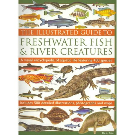 The Illustrated Guide To Freshwater Fish Amp River Creatures