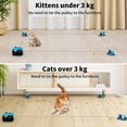 thumbnail image 2 of Cinta de correr interactiva AsFrost de juguete para gatos de interior, 2 of 6