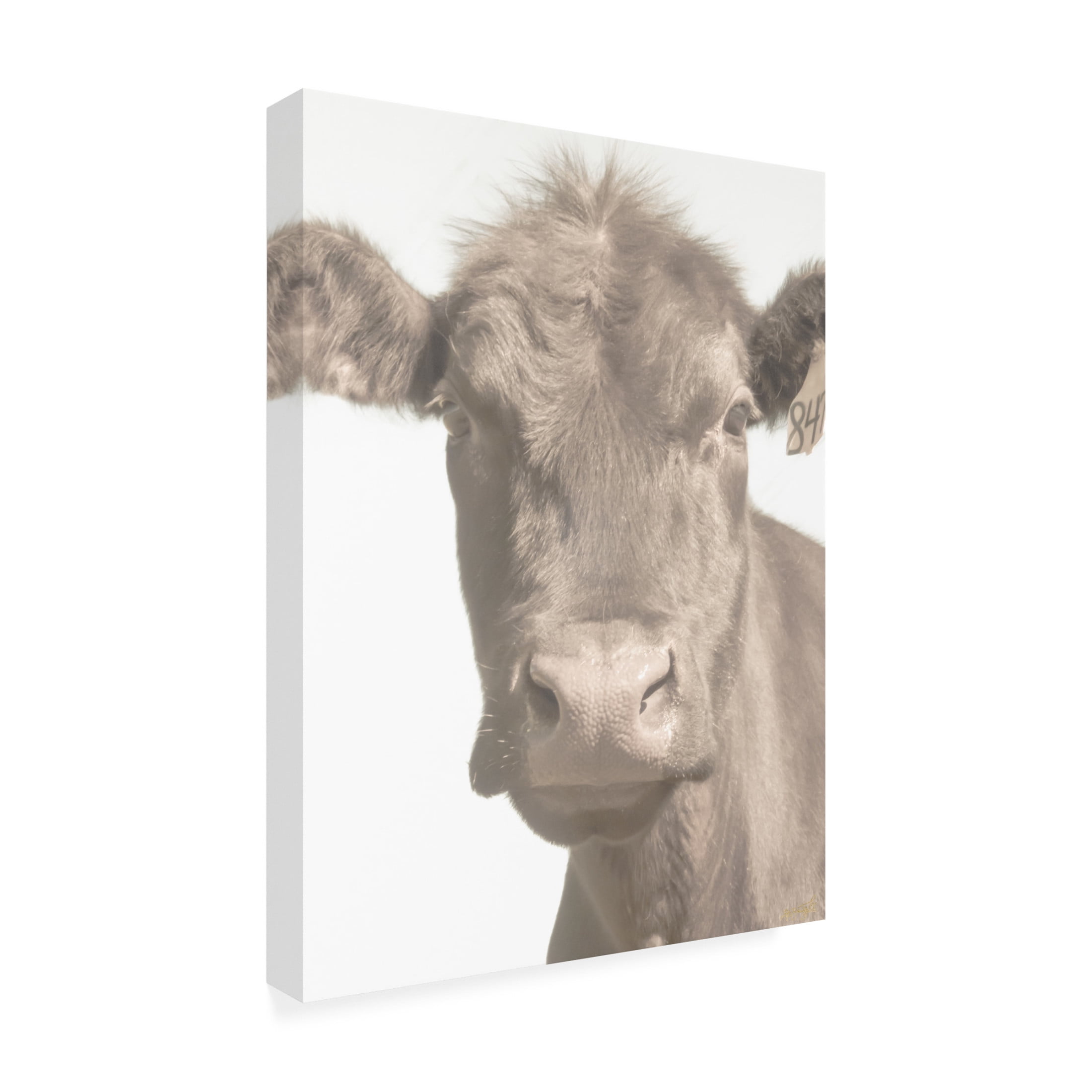 Canvas Wall Art - Life BeautifuLEE 'Soft and Curious' Wall Art for Living Room, Bedroom, or Office Décor by Trademark Fine Art - 24 x 32 Inches