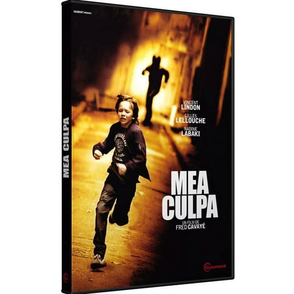 My Fault ( Mea culpa ) [ NON-USA FORMAT, PAL, Reg.0 Import - France ]