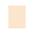 thumbnail image 1 of Pacon 5181 Medium Weight Tagboard, 12 x 9, Manila, 100/Pack, 1 of 1