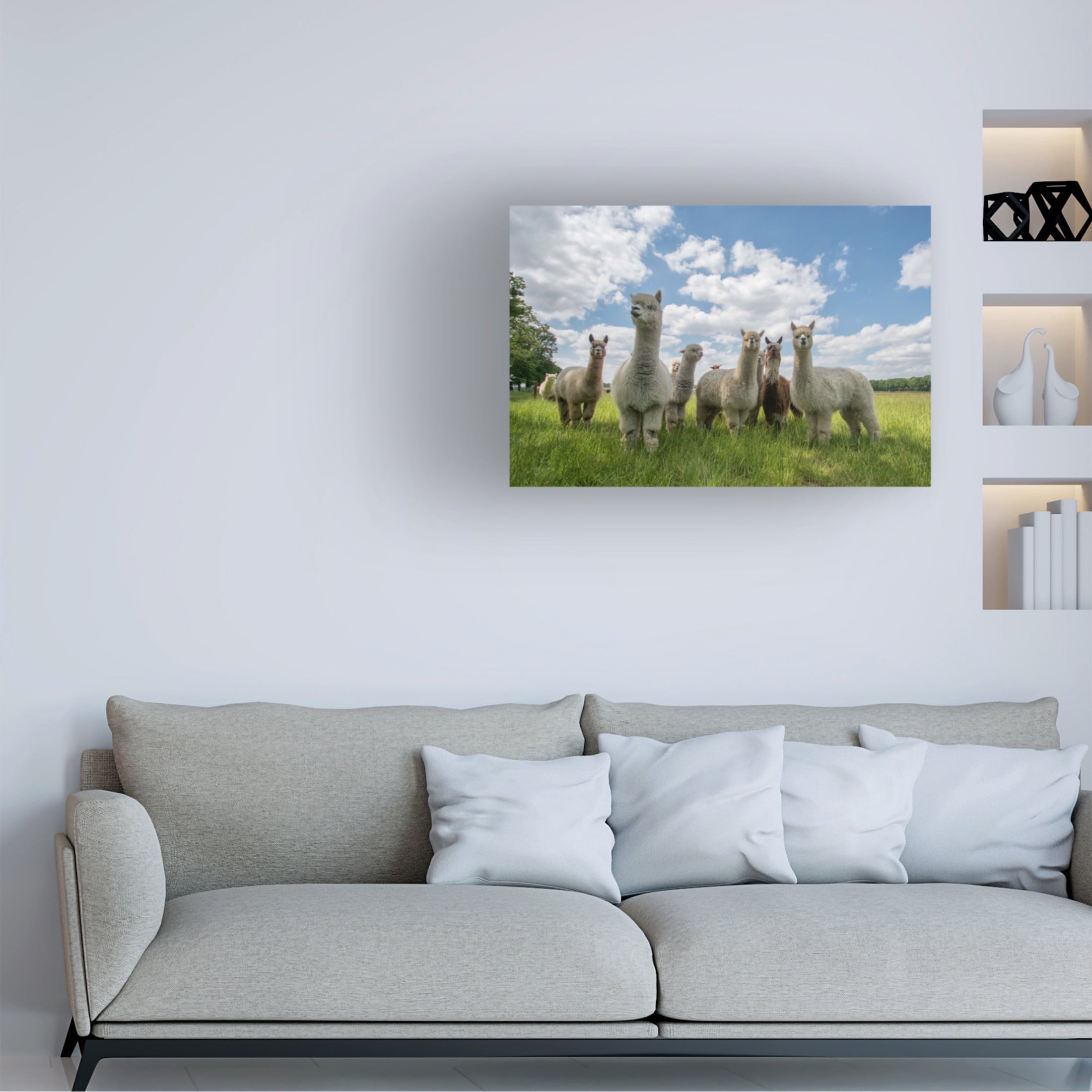 Canvas Wall Art - Gert Van Den 'Send In The Alpacas' Wall Art for Living Room, Bedroom, or Office D?cor by Trademark Fine Art - 19 x 12 Inches