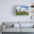 thumbnail image 4 of Canvas Wall Art - Gert Van Den 'Send In The Alpacas' Wall Art for Living Room, Bedroom, or Office D?cor by Trademark Fine Art - 24 x 16 Inches, 4 of 4