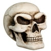 Skull Money Bank - Collectible Skeleton Decoration Container Statue