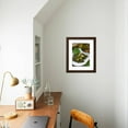 thumbnail image 4 of Stuffed Vine Leaves, Dolmades, Arabic Countries, Arabic Cooking, Greek Food, Turkish Food, Botanical Framed Art Print Wall Art by Nico Tondini Sold by Art.Com, 4 of 5
