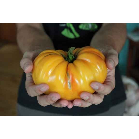 Hillbilly Heirloom Tomato Premium Seeds Packet