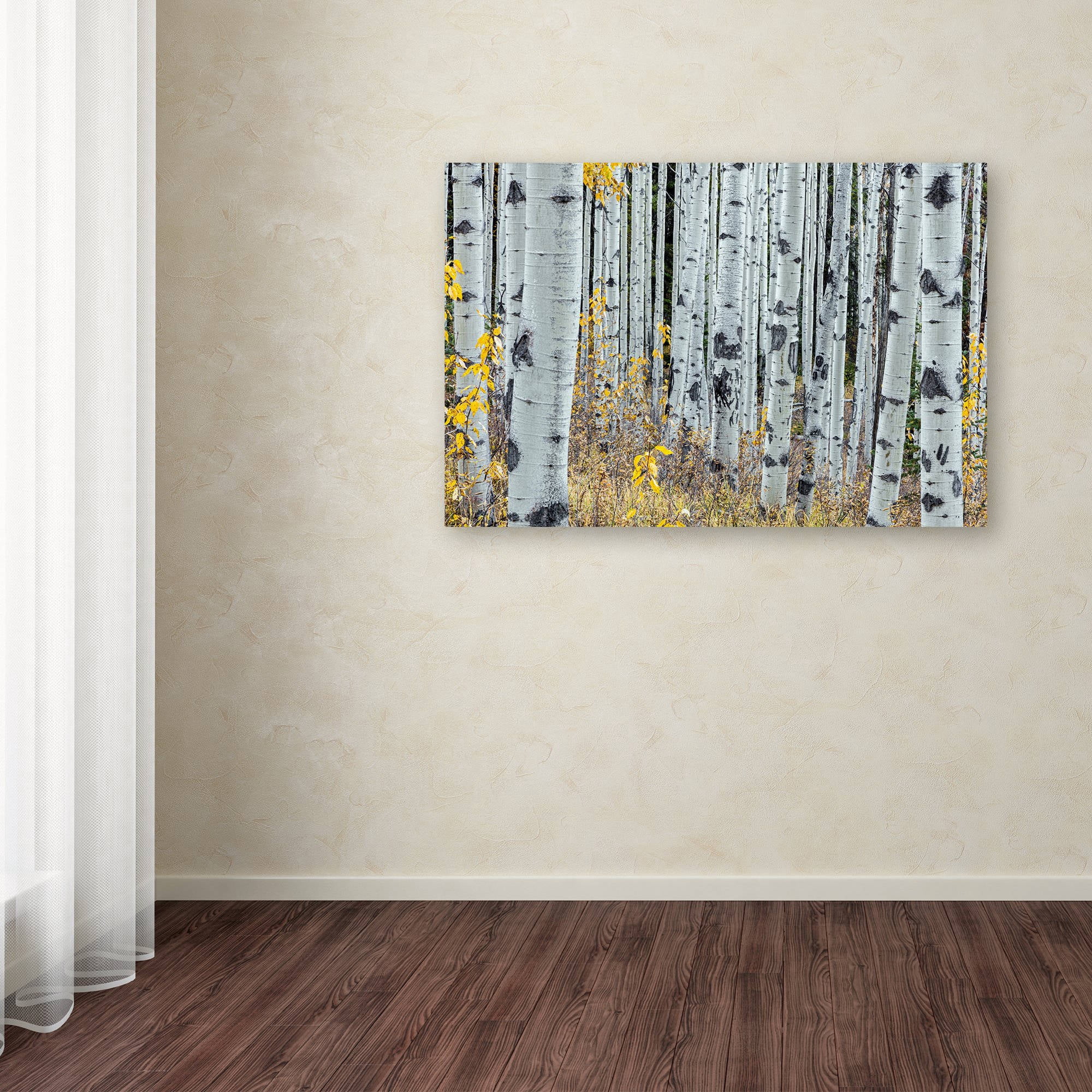 Trademark Fine Art 'Forest of Aspens' Canvas Art by Pierre Leclerc