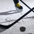 thumbnail image 4 of WRITWAA Ensemble de Hockey de Rue 20 Pcs en PU Noir pour l'Entraînement de Rondelle de Hockey Extérieur Effet, 4 of 8