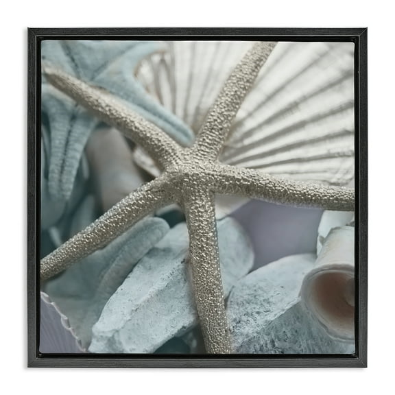 Stupell Industries Seashells & Starfish Nautical & Beach Photography Black Floater Framed Canvas Art Print Wall Art, 18 x 18