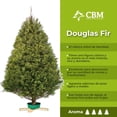 thumbnail image 3 of Árbol Natural douglas 1.80 m a 2.10 m, 3 of 4