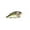 Chrome-Treuse Shad, variant on 6th Sense Fishing Crush Series 50X - Radiation Craw