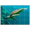 thumbnail image 1 of Picture-Tiles.com: Turtle Ceramic Tile Wall Mural WAL501084-64M. 36"W x 24"H using (24) 6" x 6" Ceramic Tiles-Satin Finish, 1 of 3