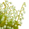 thumbnail image 4 of 10 in. Green Lily-of-the-Valley Flowers in Wood Box, 4 of 4