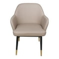 thumbnail image 1 of MOE'S Home, BERLIN ACCENT CHAIR, 1 of 5