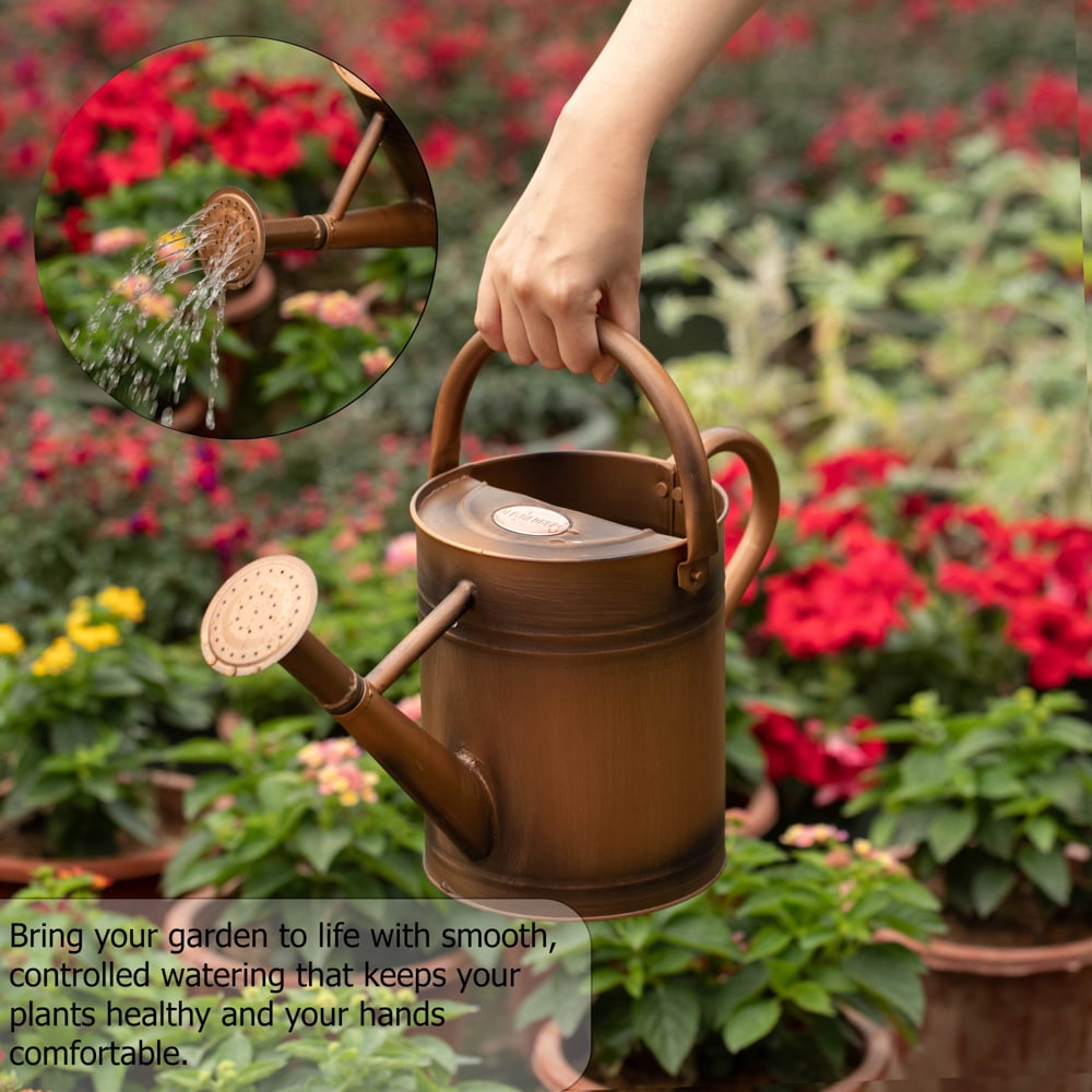 1-Gallon Steel Watering Can with Removable Sprinkler Head Ideal for Indoors & Outdoors, Bronze