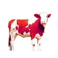 thumbnail image 3 of Hyler, JB 14x12 Black Modern Framed Museum Art Print Titled - Bright Red Swiss Cow, 3 of 5