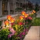 thumbnail image 5 of Luces solares de jardín con estaca | 3 luces LED de diente de león para exteriores, de plástico impermeable, para decoración de jardín con encendido/apagado automático, para patio, 5 of 6