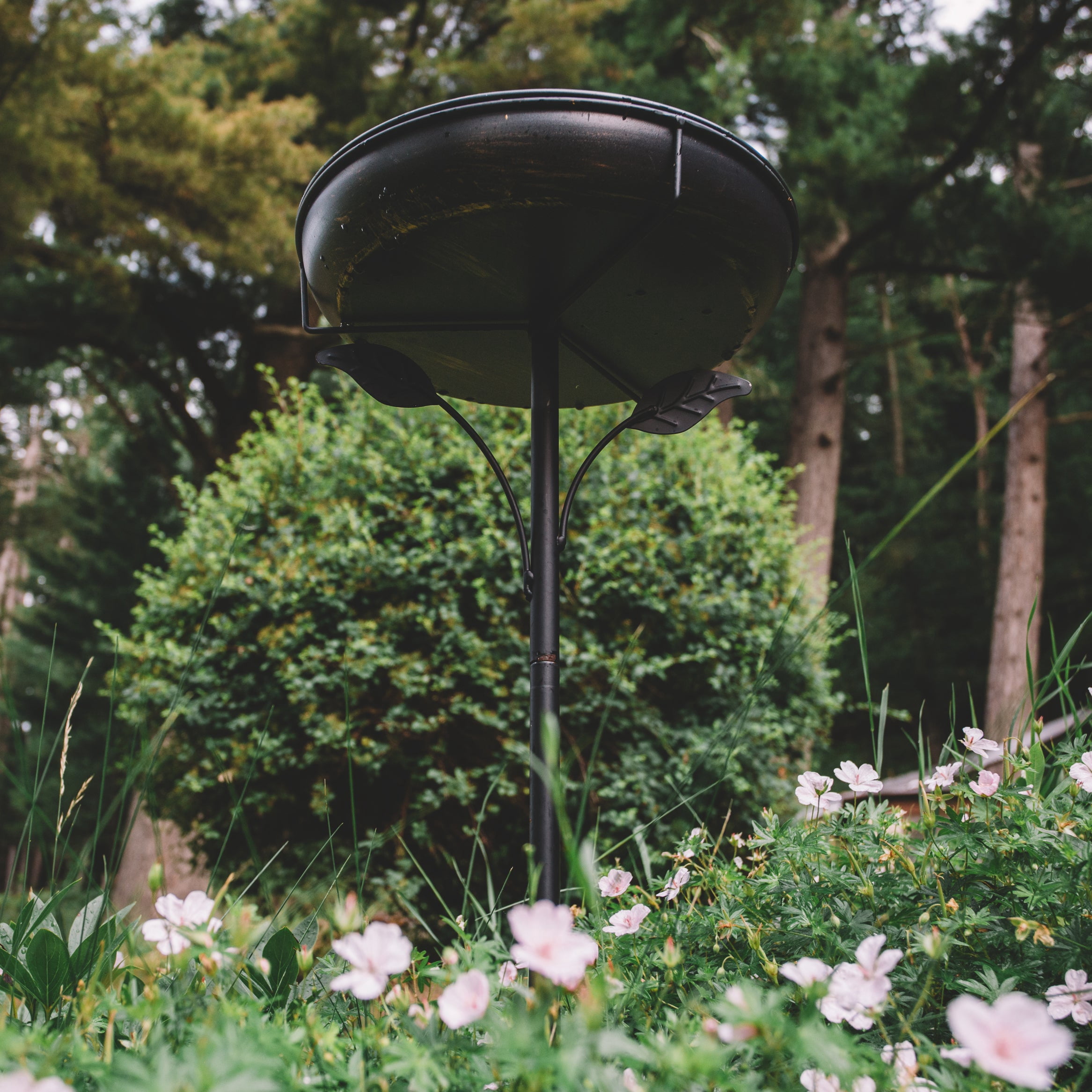 Backyard Expressions Decorative Metal Garden Bird Bath with Leaf Accent Pedestal - Antique Bronze Finish