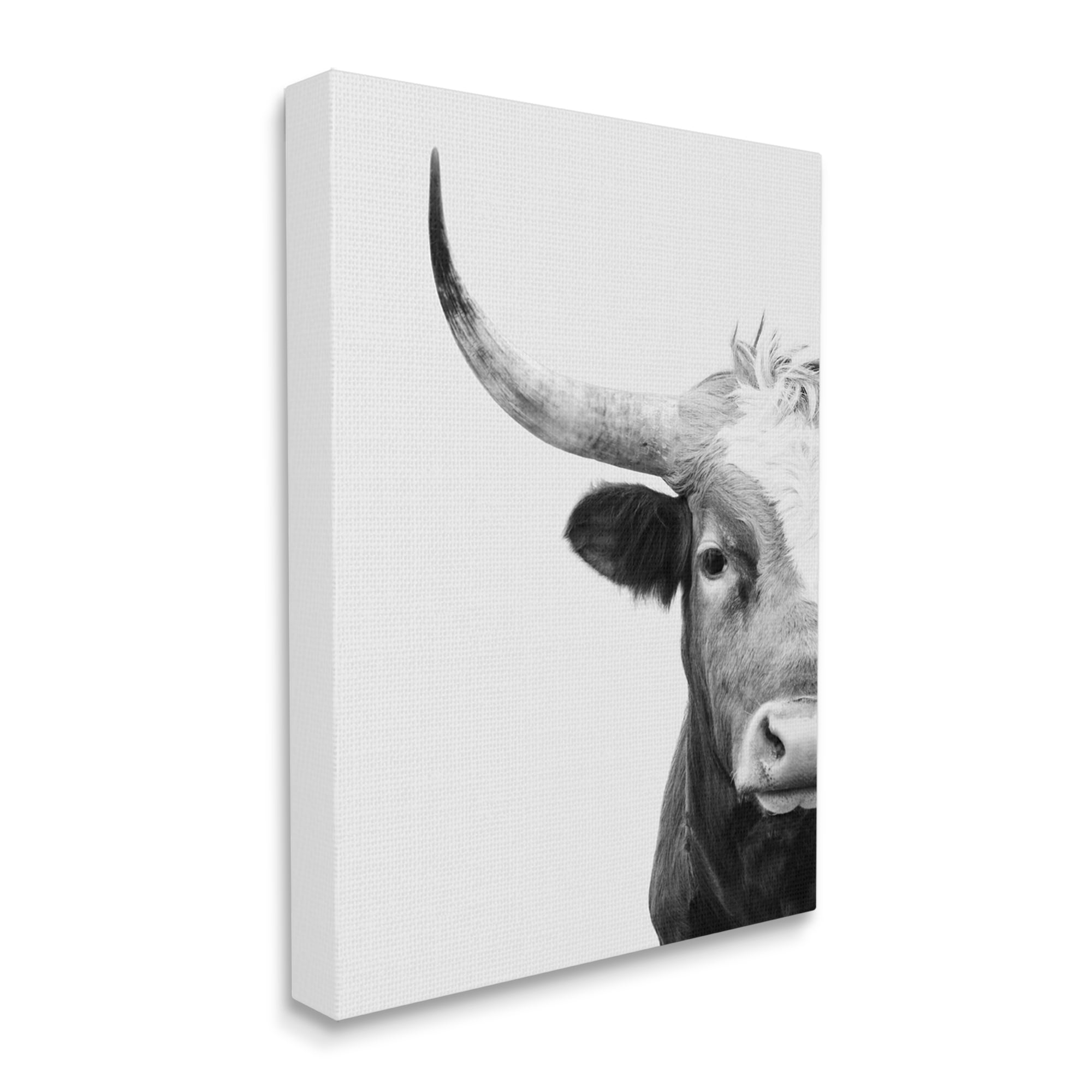 Stupell Industries Grey Longhorn Portrait Animals & Insects Photography Gallery Wrapped Canvas Print Wall Art, 36 x 48
