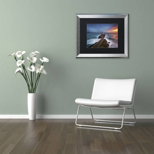 Trademark Fine Art "Red of Pleasure" Canvas Art by Mathieu Rivrin, Black Matte, Silver Frame