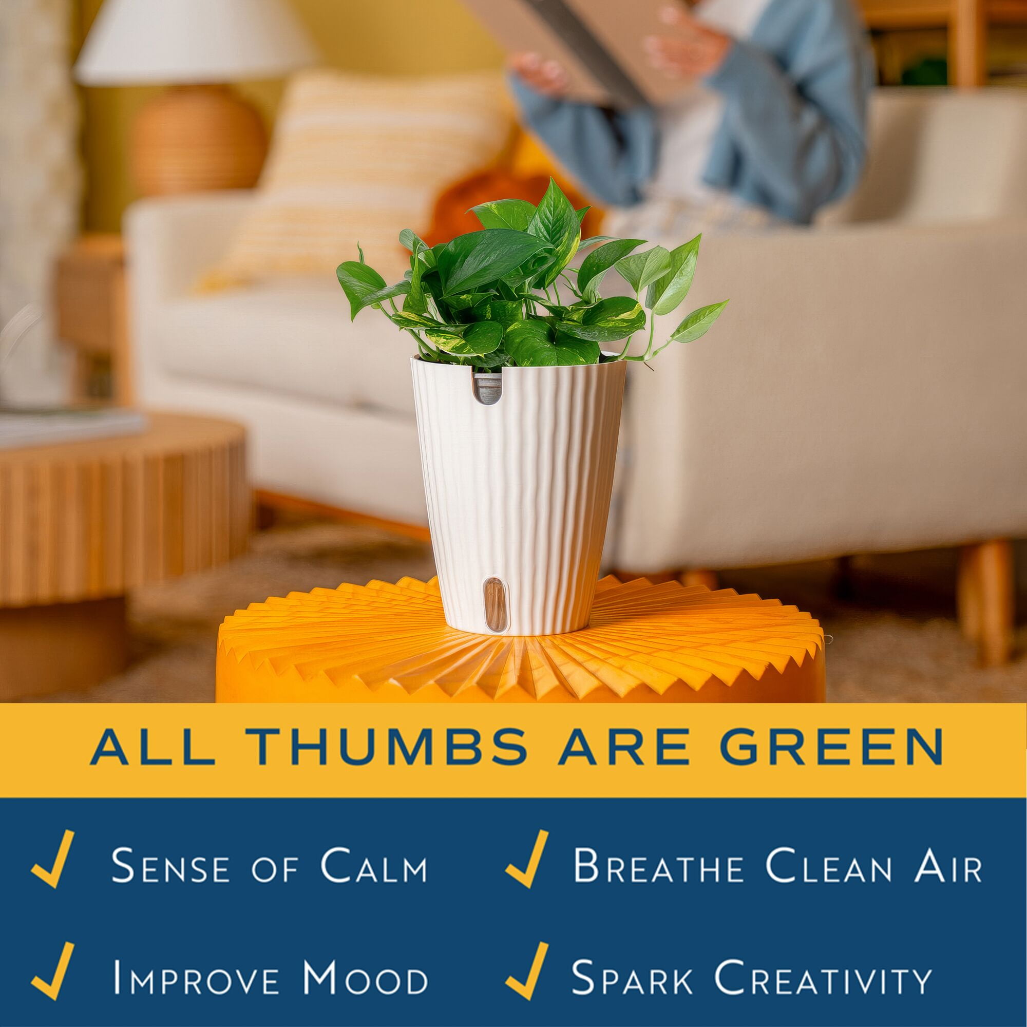 Costa Farms 12" Golden Pothos Live House Plants in 5" Self-Watering Planter