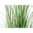 thumbnail image 4 of Artificial Plant, 47" Tall, Grass Tree, Indoor, Faux, Fake, Floor, Greenery, Potted, Real Touch, Decorative, Green Grass, Black Pot, 4 of 4
