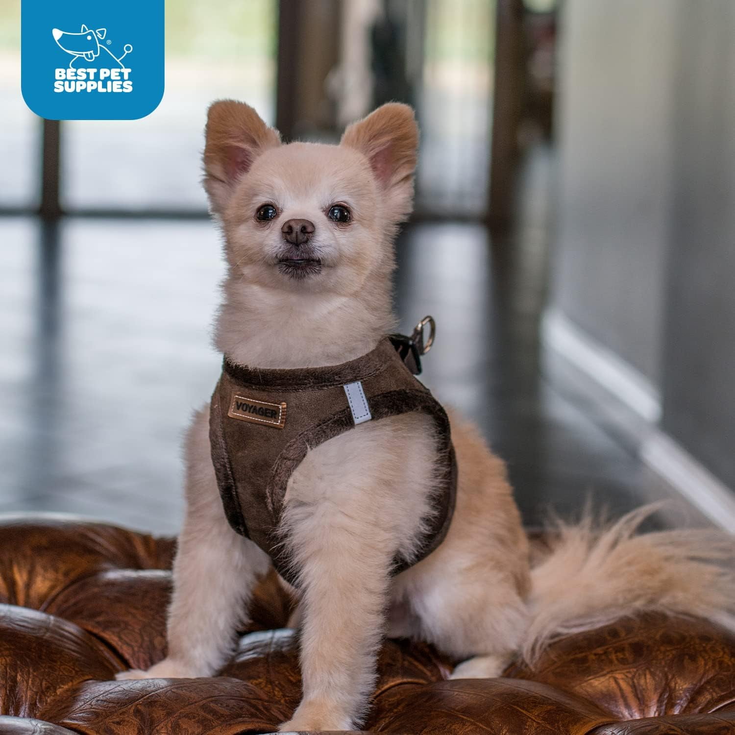 Voyager Step-in Plush Dog Harness by Best Pet Supplies - Chocolate Suede, X-Small