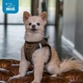 thumbnail image 7 of Voyager Step-in Plush Dog Harness by Best Pet Supplies - Chocolate Suede, Large, 7 of 7