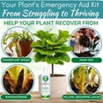thumbnail image 2 of Houseplant Resource Center - Root Supplement, Liquid Root Stimulator - for Fiddle Leaf Fig & Indoor Plants - Propagation Promoter, Root Rot Treatment - Food for Healthy Roots, Stems, & Leaves - 8 Oz, 2 of 9