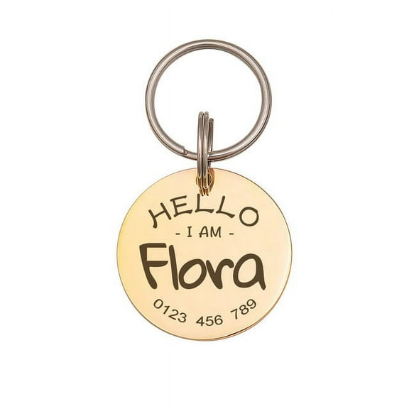 Anavia Stainless Steel Double Sided Round Name - Phone & Hello I Am Engraved Dog & Cat ID Tag, Gold, M