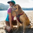 thumbnail image 6 of Kurgo Journey Air Dog Harness, for Running & Walking, Reflective, No Pull Front Clip, Red, Sm, 6 of 11