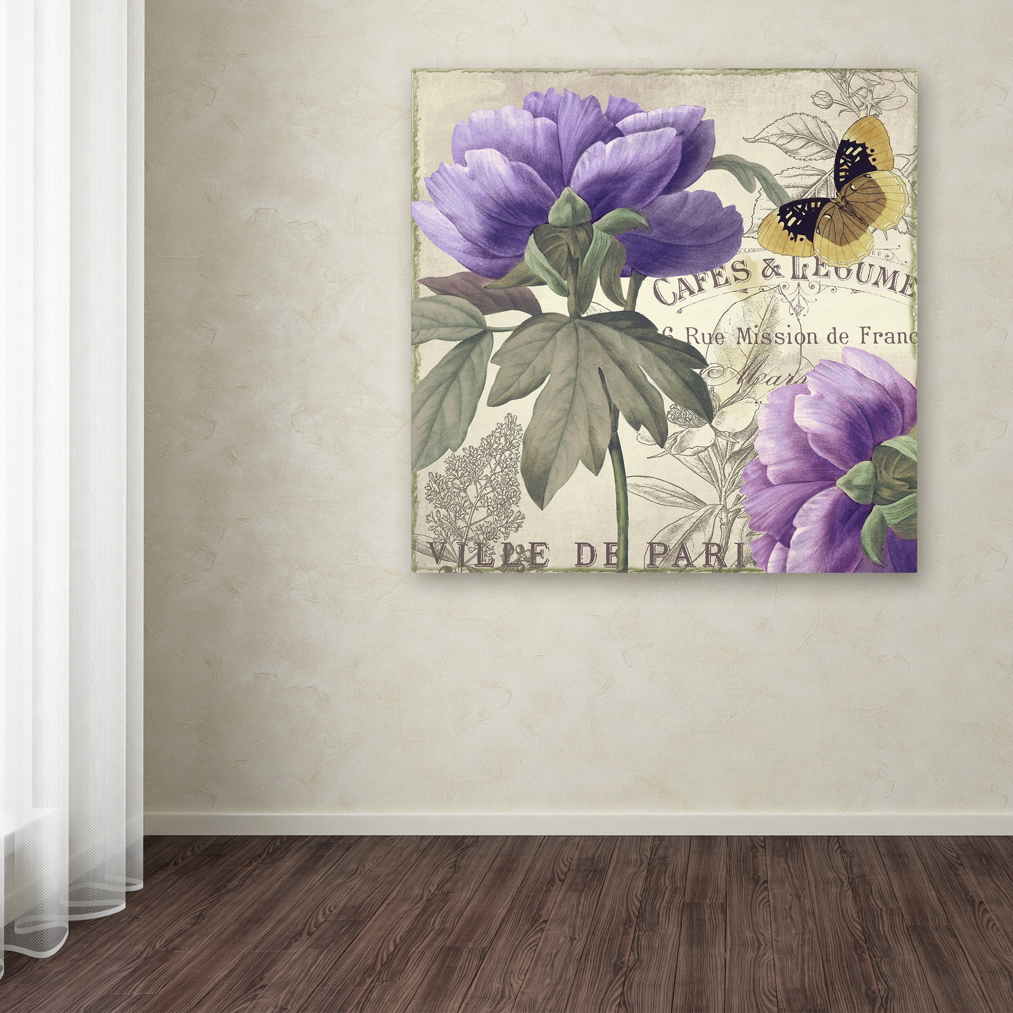 Trademark Fine Art "Petals of Paris IV" Canvas Art by Color Bakery