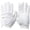 White/White, variant on TGW Women's Players Golf Glove for Golfing Regular White/White Medium Left
