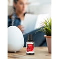 thumbnail image 4 of Apple Fragrance Oil | 0.51 fl oz (15ml) | Premium Grade | by Horbaach, 4 of 7