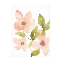 Canvas Wall Art - Jennifer Goldberger 'Soft Coral Blooms II' Wall Art for Living Room, Bedroom, or Office Décor by Trademark Fine Art - 24 x 32 Inches