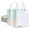 Glossy Iridescent, variant on 12 Pcs Non-Woven Reusable Gift Bags with Handles for Party Favor 8W x 4L x10''H