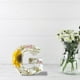 thumbnail image 3 of Flor Nocturna Luz G, 3 of 4