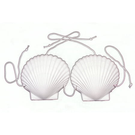 Loftus Mermaid Luau Adult Sea Shell Bra Bikini Top, White, One Size