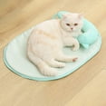 thumbnail image 4 of 1 Jeu de Tapis pour Animaux de Compagnie Résistant à la Transpiration Absorbant la Forte Densité Tapis de Refroidissement pour Animaux de Compagnie à Usage Domestique, 4 of 10