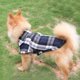 thumbnail image 3 of Ropa para perros Abrigo casual para mascotas Camisa a cuadros con botones para mascotas 1018, 3 of 6