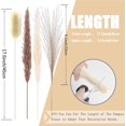thumbnail image 4 of Chainplus Grass 60 pcs 17.5 inch Natural Dried Grass - 5Pcs White & 10Pcs Brown & 30Pcs Reed Grass & 15Pcs Bunny Tail Grass,Fluffy stem Bouquet for Home Decor Wedding Boho Decor, 4 of 6