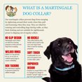 thumbnail image 6 of Country Brook Petz® 1 1/2 inch Ocean Blue Martingale Heavyduty Nylon Dog Collar, Extra Large, 6 of 6