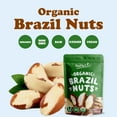 Organic Brazil Nuts, 8 Ounces NonGMO, , Whole, No Shell, Unsalted