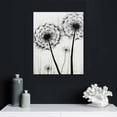 thumbnail image 4 of ARISTURING Dandelion Wall Decor,Black and White Flower Canvas Wall Art, Living Room Bedroom Nursery Decoration,Nordic Dream Dandelion Prints,16x20 inch Floral Picture Poster Set, 4 of 4