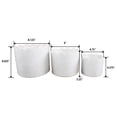 thumbnail image 2 of Set of 3 Scallop Wild Flower Ceramic Pots, 2 of 4