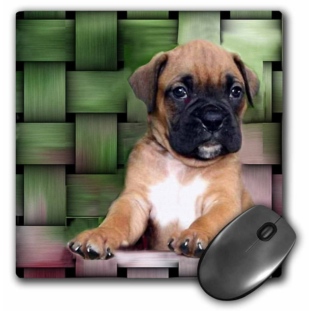 3dRose Brindle Boxer Puppy, Mouse Pad, 8 by 8 inches